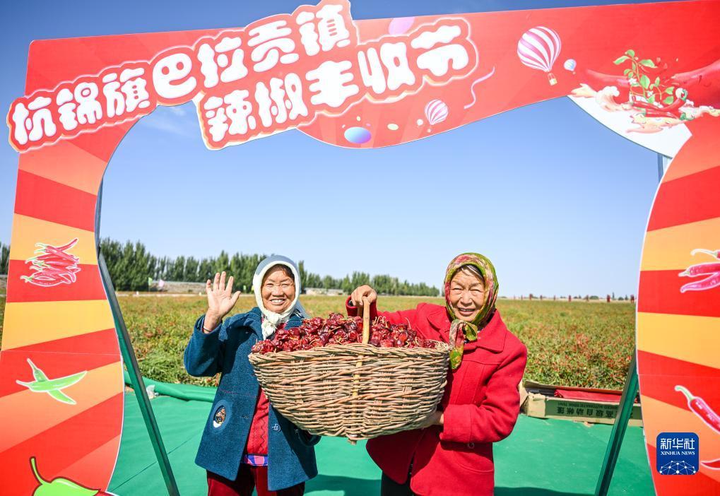 十大老品牌网赌